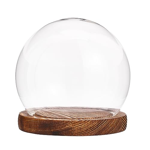 CHGCRAFT Runde Form Glas Glocke Globe Display Kuppel Abdeckung Terrarium mit Holzsockel Dekorative Vitrine für Ewige Blume Pflanze Garage Kits Display, Klar von CHGCRAFT