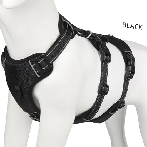 CHICIRIS Einstellbarer Hundekabelbaum, Reflektierendes Design, Komfortables Griff, D-Ring-Sicherheit, Multifunktional für Traktion und Ausdehnung, Geeignet für Mittelgroßen Großen Hunden, Bestehend CHICIRIS Einstellbarer Hundekabelbaum, Reflektierendes Design, Komfortables Griff, D-Ring-Sicherheit, Multifunktional für Traktion und Ausdehnung, Geeignet für Mittelgroßen Großen Hunden, Bestehend von CHICIRIS