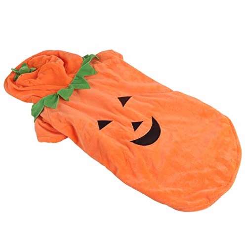 CHICIRIS Halloween-Kürbis-Hundekleidung Herbst-Hundekleidung Weich Verhindert Sonnenbrand für Mittelgroße Hunde für Teddy (2XL) von CHICIRIS