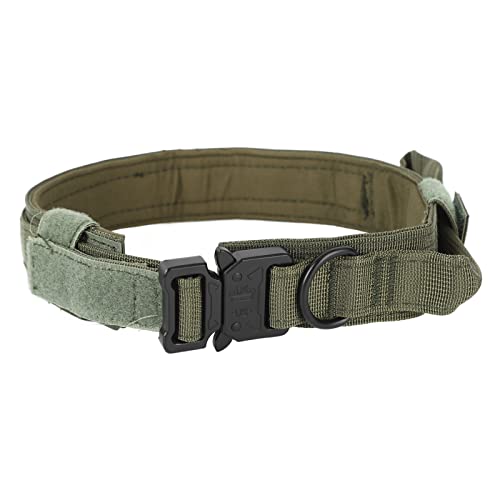 Haustierhalsband, Weiches Hundehalsband mit Dicker Metallschnalle und Sicher für Outdoor-Aktivitäten (Stil 2) von CHICIRIS