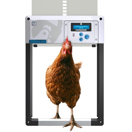 Hühnerklappe Automatisch ChickenGuard All-in-One, Hühnerstalltürfarben in Vier Farben, Timer/Lichtsensor, Auto-Stop, Raubtiersicher, Wintermodus-Power-Boost, Batterien Enthalten (Graue Tür) von CHICKENGUARD