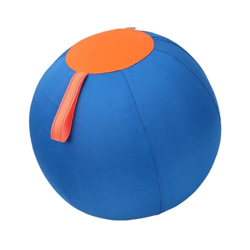 CHIZISX Große Spielkugel für Hunde für Hinterhof, Strand, Outdoor-Aktivitäten, interaktive Hundekugel für aktive Rassen von CHIZISX