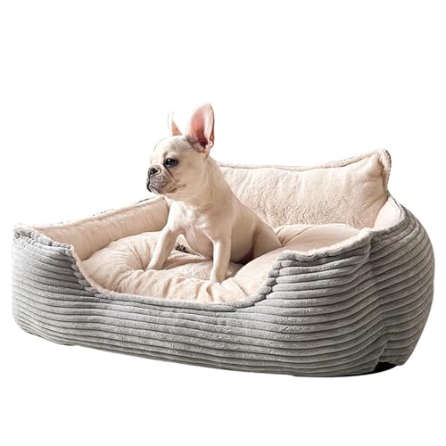 CHIZISX Katzenbett, abnehmbares, waschbares Hundebett, schöne Katzen-Couch, flauschig, beruhigt, weiches Couchbett für Wärme und Erholung von CHIZISX