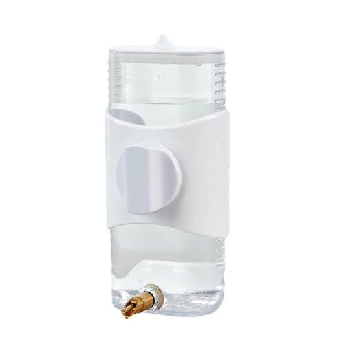 CHIZISX Vogelfutterstation, 300 ml, Wasserflasche, zum Aufhängen, Käfig, Wasserspender, Trinker für Papageien, kleine Haustiere, Trinknadel, Typ Vogel-Wasserspender von CHIZISX