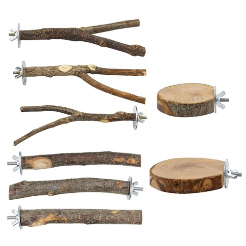 CHIZISX Vogelspielzeug, 8 Stück Papageien, Sitzstangen, Vogelspiel, Fitnessstudio, Spielzeug, Sittiche, Klettern, Übungsleiter für Vögel, Holz, Kletterleiter, Schaukel von CHIZISX