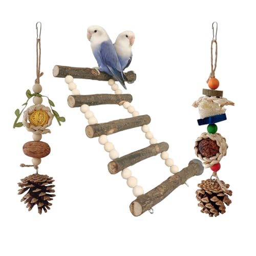 CHIZISX Vogelspielzeug, Vogelschaukel, Papageienkäfig, Schaukel-Set, Holzleiter, Training für kleine Vögel, Papageien, Spielständer-Set Luffa von CHIZISX