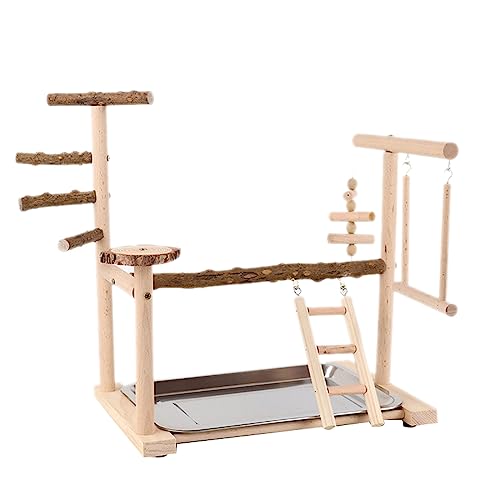 CHIZISX Vogelspielzeug, Vogelschaukel-Set, Papageienkäfig, Spielzeug, Schaukel, Holzleiter, Training für kleine Vögel, Papageien, Spielständer von CHIZISX