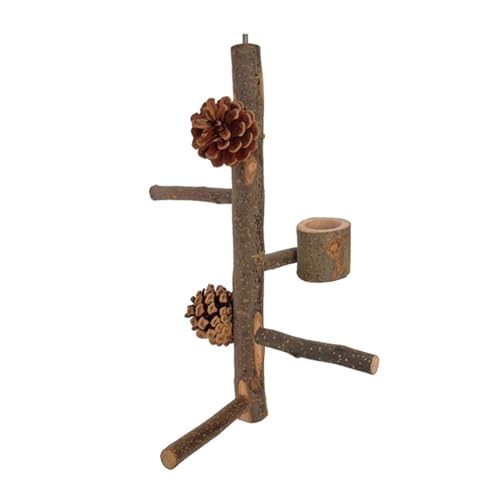 CHIZISX Vogelspielzeug, Vogelsitzstange für Sittiche, Vogelkäfig, Kletterbaum, Ast, Käfigspielzeug, Papageien-Sitzstangen, Käfigzubehör, kleine Vögel von CHIZISX