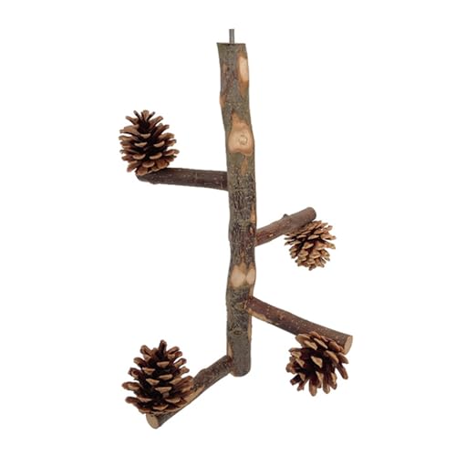 CHIZISX Vogelspielzeug, Vogelsitzstange für Sittiche, Vogelkäfig, Kletterbaum, Ast, Käfigspielzeug, Papageien-Sitzstangen, Käfigzubehör, kleine Vögel von CHIZISX