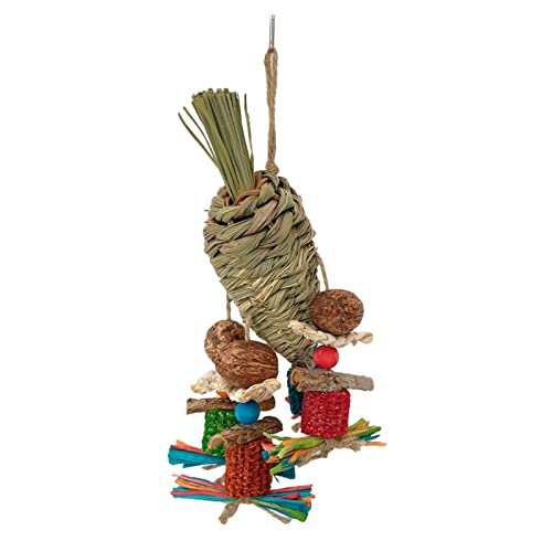 CHIZISX Vogelspielzeug, Vogelspielzeug für Papageien, natürliche Pflanze, Vögel, Backenzahn, kaubares Gras, buntes Papageienspielzeug, langweiliges Spielzeug von CHIZISX