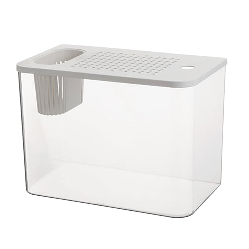 Klare Fischtanks Mit Sicherem Deckel Und Wasserpflanzenhalter Für Goldfische Home Desktop Dekoration Aquarien Tanks Fischschale Klare Fischtanks Mit Sicherem Deckel Und Wasserpflanzenhalter Für Goldfische Home Desktop Dekoration Aquarien Tanks Fischschale von CHIZISX