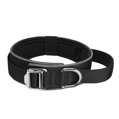 Reflektierendes Hundehalsband, erhöht die Nachtsicherheit, verstellbares Nylon-Haustierhalsband, weiche Innenpolsterung, reflektierender Hund Reflektierendes Hundehalsband, erhöht die Nachtsicherheit, verstellbares Nylon-Haustierhalsband, weiche Innenpolsterung, reflektierender Hund von CHIZISX