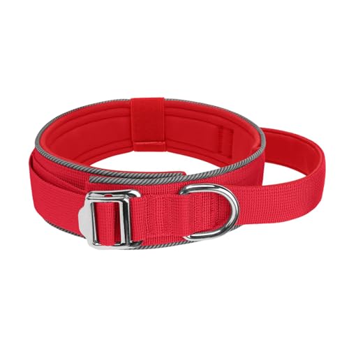 Reflektierendes Hundehalsband, erhöht die Nachtsicherheit, verstellbares Nylon-Haustierhalsband, weiche Innenpolsterung, reflektierender Hund Reflektierendes Hundehalsband, erhöht die Nachtsicherheit, verstellbares Nylon-Haustierhalsband, weiche Innenpolsterung, reflektierender Hund von CHIZISX