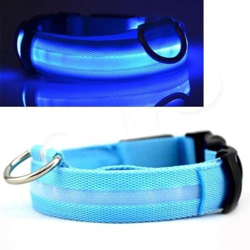 CHPN - LED -Nackenband - Hundekragen - Kragen - Blau - L - 45-52 cm - Haustier - Kragen - 2 Stück von CHPN