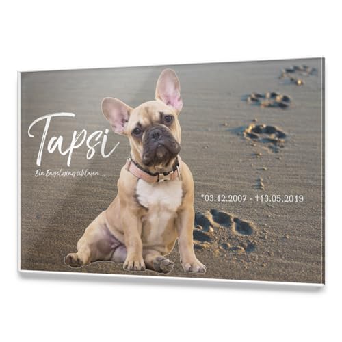 CHRISCK design Premium Tier Grabstein aus edlem Hochglanz Acrylglas | 100% witterungsbeständig Grabplatten mit Foto Bild UV Druck 30x20 cm Gedenktafel für Haustiere Hunde Hund Katze von CHRISCK design