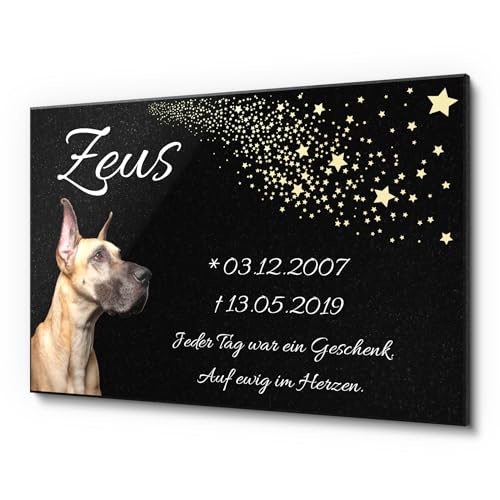 Grabplatte für Hunde aus edlem Granit - schwarz glitzernd! Gedenkstein Hund mit Foto und Sternen Motiv | Einzigartige Hundegrab Deko | Wetterfester, personalisierter Tiergrabstein - 30x20 cm von CHRISCK design