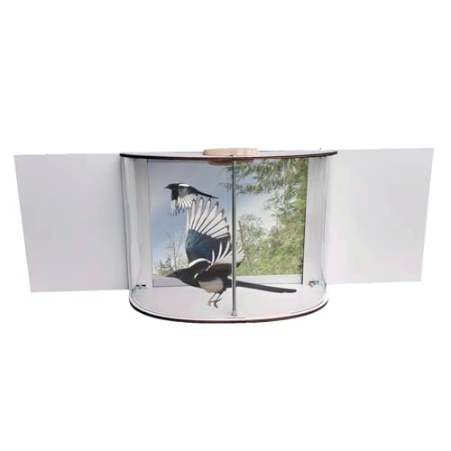 Acryl-Fenster-Vogelhäuschen, 550 G, Langlebiges Vogelhaus Zur Fenstermontage, Leicht Zu Reinigendes Wildvogelhäuschen, Leicht Zu Tragendes Kiefern-Acryl-Vogelhäuschen Mit Abnehmbarem Oberteil von CHROX