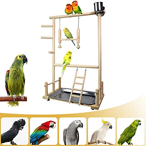 CHSEEO Papagei Spielplatz für Vögel, Bird Playground Kauspielzeug Con Holzleiter, Vogelschaukel, Klingel, Papagei Sitzstangen, Futterschalen aus Edelstahl und Tablett, 36 x 23 x 57 cm von CHSEEO