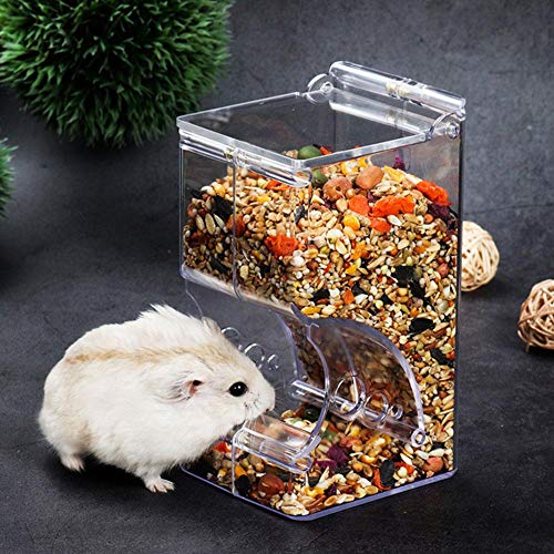 Futterspender für Hamster, Kleintiere, automatischer Spender, Acryl, transparent, für Zwerg, Hamster, Rennmäuse, Mäuse, Igel, Meerschweinchen, Tauben, Papageien (300 ml) von CHUQIANTONG