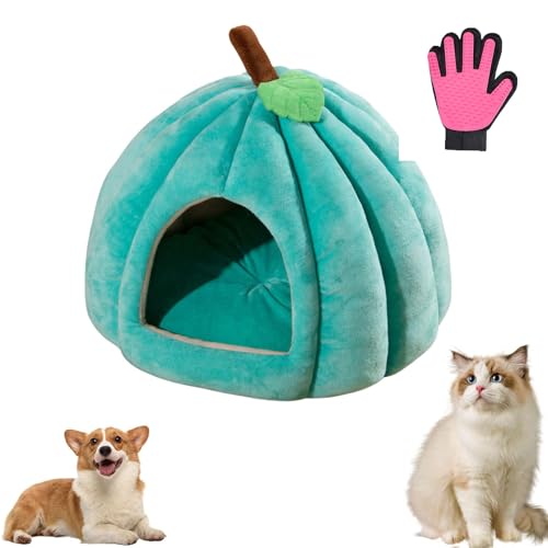 CHYASPNG Kürbis-Katzenbett, Katzenbetten für Hauskatzen, Süßes Katzenhöhlenbett in Halloween-Kürbisform, Katzenzelt mit abnehmbarem Kissen Warmes für Kätzchen und Welpen (L,Blue) von CHYASPNG