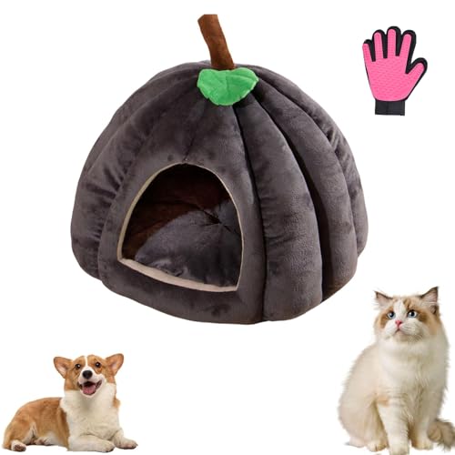 CHYASPNG Kürbis-Katzenbett, Katzenbetten für Hauskatzen, Süßes Katzenhöhlenbett in Halloween-Kürbisform, Katzenzelt mit abnehmbarem Kissen Warmes für Kätzchen und Welpen (L,Dark Gray) von CHYASPNG