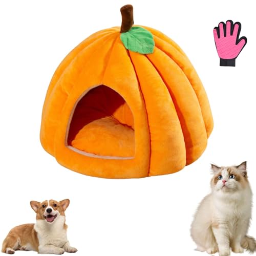 CHYASPNG Kürbis-Katzenbett, Katzenbetten für Hauskatzen, Süßes Katzenhöhlenbett in Halloween-Kürbisform, Katzenzelt mit abnehmbarem Kissen Warmes für Kätzchen und Welpen (L,Orange) von CHYASPNG