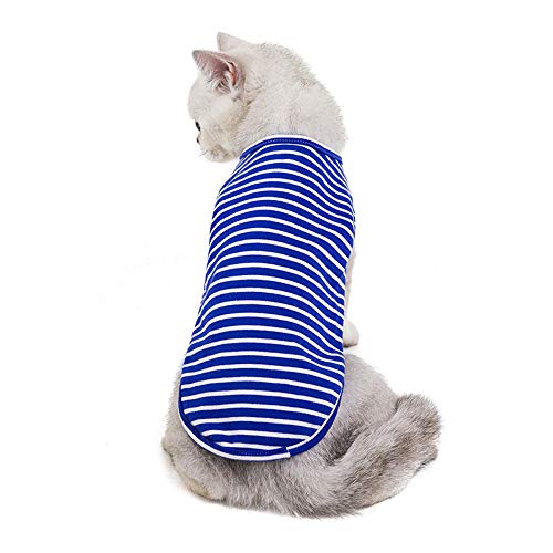 Haustier-Kleidung, gestrickt, Baumwolle, gestreift, für kleine und mittelgroße Hunde oder Katzen (M, blau) von CHYIR