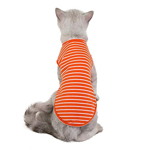 Haustierkleidung Mode Hund Gestrickt Baumwolle Streifen Tee Shirt Katze Tank Weste T-Shirts für Kleine Mittlere Hunde oder Katzen (XL, Orange) von CHYIR