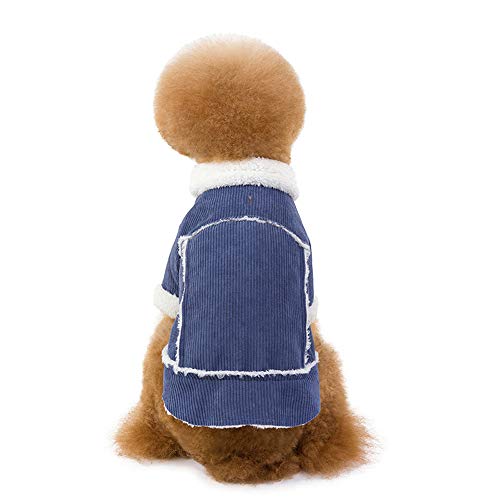 Warmer Hundemantel für Hunde und Katzen, aus Cord, für kleine und mittelgroße Hunde (XL, blau) von CHYIR