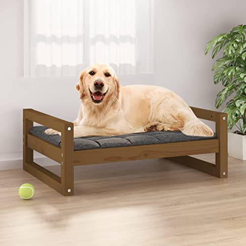 CIADAZ Hundebett, Hundesofa, Hunde Bett, Hundekissen, Dog Bed, Kuschelbett Katzen, Hunde Couch, Hunde Sofabett, Honigbraun 75,5x55,5x28 cm Massivholz Kiefer von CIADAZ