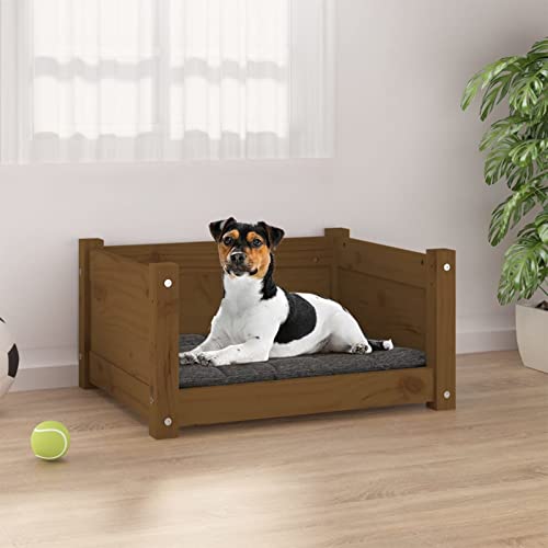 CIADAZ Hundebett, Hundesofa, Hunde Bett, Hundekissen, Dog Bed, Kuschelbett Katzen, Hunde Sofabett, Hunde Couch, Honigbraun 55,5x45,5x28 cm Massivholz Kiefer von CIADAZ