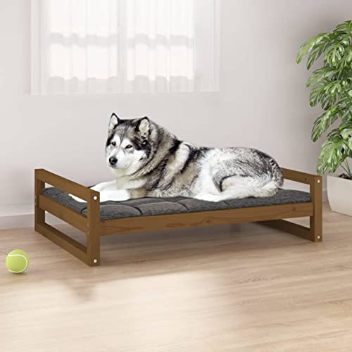 CIADAZ Hundebett, Hundesofa, Hunde Bett, Hundekissen, Kuschelbett Katzen, Dog Bed, Hunde Couch, Hunde Sofabett, Honigbraun 105,5x75,5x28 cm Massivholz Kiefer von CIADAZ