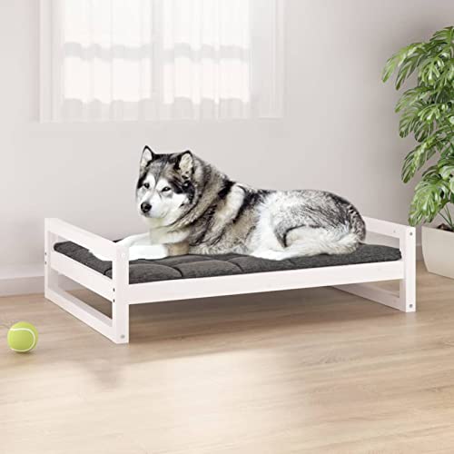 CIADAZ Hundebett, Hundesofa, Hunde Bett, Hundekissen, Kuschelbett Katzen, Dog Bed, Hunde Couch, Hunde Sofabett, Weiß 105,5x75,5x28 cm Massivholz Kiefer von CIADAZ