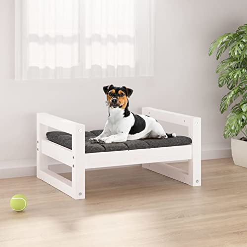 CIADAZ Hundebett, Hundesofa, Hunde Bett, Hundekissen, Kuschelbett Katzen, Dog Bed, Hunde Couch, Hunde Sofabett, Weiß 55,5x45,5x28 cm Massivholz Kiefer von CIADAZ