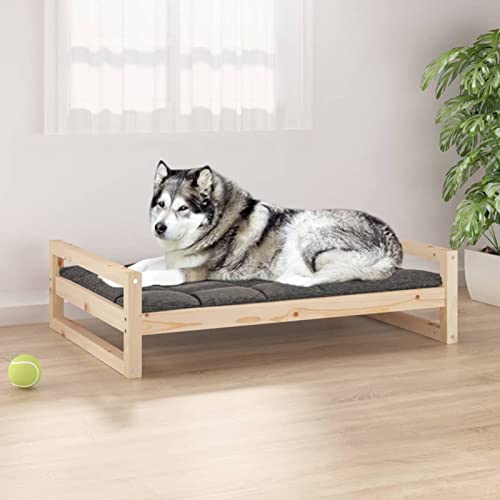 CIADAZ Hundebett 105,5x75,5x28 cm Massivholz Kiefer, Hundesofa, Hunde Bett, Hundekissen, Dog Bed, Kuschelbett Katzen, Hunde Couch, Hunde Sofabett, 821487 von CIADAZ