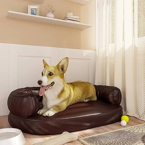 CIADAZ Hundebett Ergonomisch Schaumstoff Braun 75x53 cm Kunstleder, Hundesofa, Hunde Bett, Hundekissen, Dog Bed, Kuschelbett Katzen, Hunde Couch, Hunde Sofabett, 171320 von CIADAZ