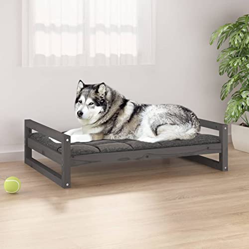 CIADAZ Hundebett Grau 105,5x75,5x28 cm Massivholz Kiefer, Hundesofa, Hunde Bett, Hundekissen, Dog Bed, Kuschelbett Katzen, Hunde Couch, Hunde Sofabett, 821489 von CIADAZ