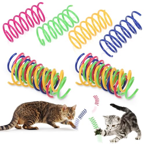 CIGTSICO Katzenspielzeug Spirale, Spirale Spielzeug für Katzen, Interaktives Katzenspielzeug 48 Teile in 4 Farben Sicher und Langlebig Perfekt für Kittens und Erwachsene Katzen von CIGTSICO