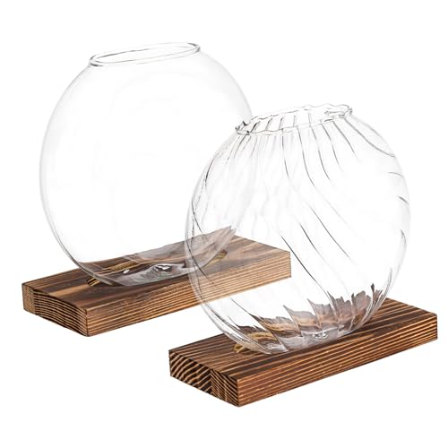 2 Stück Kreative Vase Für Pflanzen Terrarium Wandvasen Töpfe Für Pflanzen Anzuchtvasen Für Pflanzen Terrarium Glas Pflanzenanzuchtvase Glasvase Für Pflanzen Glas CIMAXIC von CIMAXIC