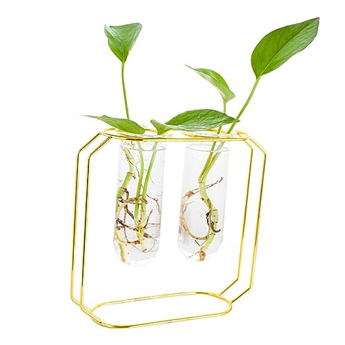 CIMAXIC 2er Set Kunst Blumenarrangement Vase Stilvolle Pflanzen Terrarium Planter Pflanzbehälter Für Moderne Tischdeko Und Wohnraumgestaltung von CIMAXIC