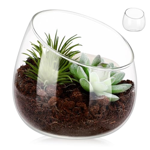 Glas-blumenvase Rund Terrarium Behälter Blumentopf Kleiner Pflanztopf Schale Für Zimmerpflanzen Und Dekoration Glas-blumenvase Rund Terrarium Behälter Blumentopf Kleiner Pflanztopf Schale Für Zimmerpflanzen Und Dekoration von CIMAXIC