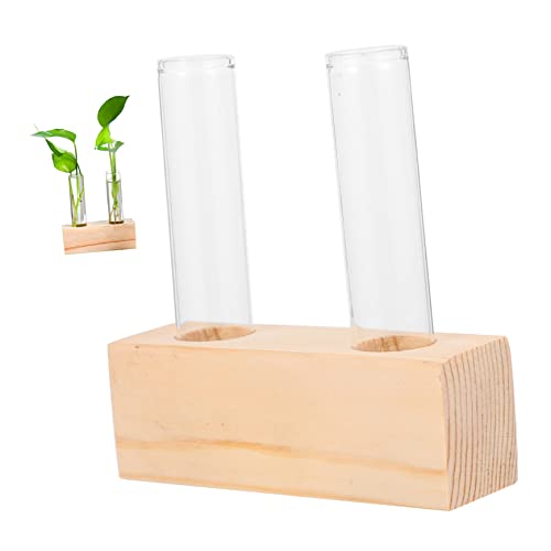 CIMAXIC Hydroponische Vase Transparent Für Kleine Pflanzen Rechteckige Tischvase Zur Pflanzenvermehrung Dekoratives Terrarium Für Den Innenbereich Stilvolle Pflanzenvase Für Zuhause von CIMAXIC