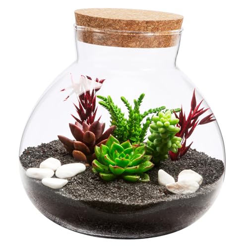 CIMAXIC Leere Glasflasche Für DIY Micro Landschaften Langlebiges Ökologisches Glasgefäß Für Kreative Aquariengestaltung Ideal Für Miniatur Aquarien Und Dekoration von CIMAXIC