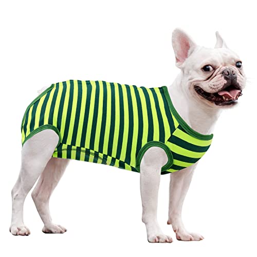 CITÉTOILE Body Pour Chien après Stérilisation Post Opérat,oire, Combinaison de Récupération Chirurgicale Chiot Chat Pour Mâle Femelle, Gilet Medical Pet Shirt Anti-lécher, Alternative de Collier, S von CITÉTOILE