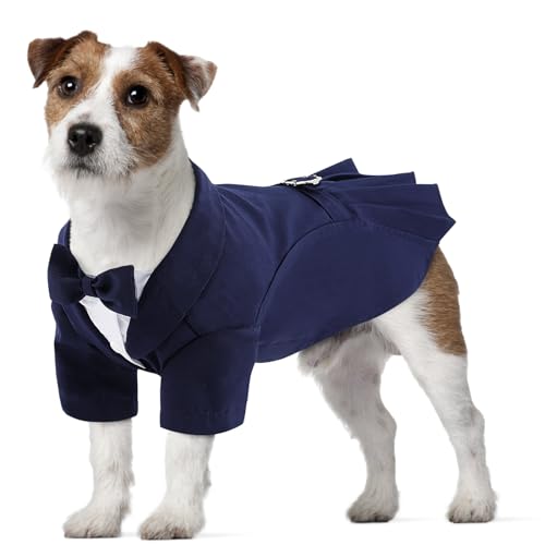 CITÉTOILE Hunde Hochzeit Anzug Set, Smoking Hemd mit Fliege Party Kleidung, Hochzeit Geburtstag Party Halloween Hundeanzug für Kleine Mittlere Große Hunde Katze, Blau, XL von CITÉTOILE