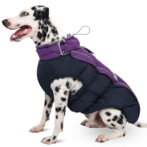 CITÉTOILE Hundemantel Wasserdichter, Hundejacke Winddichte Wintermantel Hund Outfit mit Reflektierender Streifen und Reißverschluss, Lila, L von CITÉTOILE