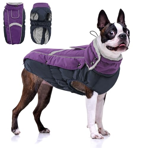 CITÉTOILE Hundemantel Wasserdichter, Hundejacke Winddichte Wintermantel Hund Outfit mit Reflektierender Streifen und Reißverschluss, Lila, M von CITÉTOILE