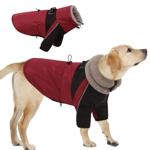 CITÉTOILE Hundemantel Winter, Hundemantel Wasserdicht & Winddichte,Hundemantel mit Geschirr für Kleine Hunde, Mittlere und Grosse Hunde,Reflektierender Hundejacke Hunde mit Bauchschutz von CITÉTOILE