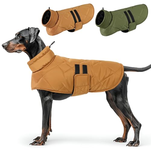 CITÉTOILE Hundemantel Winter,Hoher Kragen Hundejacke für Mittelgroßer Hunde, Hundejacke für Dackel,Bulldogge, Winddichte Hundemantel für Hund Indoor & Outdoor Camping Wandern von CITÉTOILE