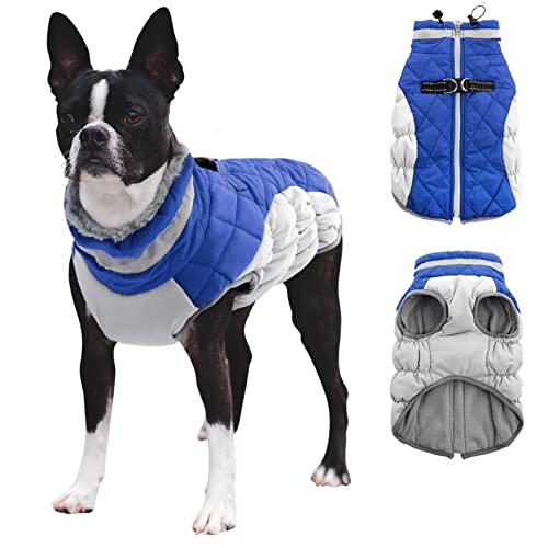 CITÉTOILE Hundemantel für Kleine Hunde,Hundemantel Winter mit Geschirr, Warme Hundejacke, Hundemantel Wasserdicht mit Fleece Gefütterte, Winddichtes Reflektierend Winterweste für Dackel, Bulldogge von CITÉTOILE